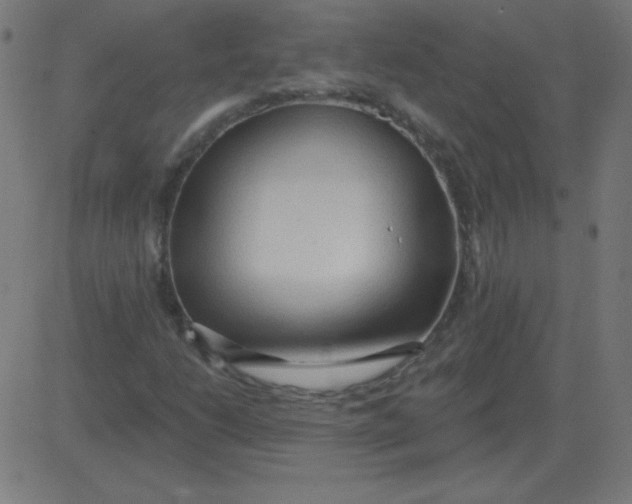 X0000081281206200702012210