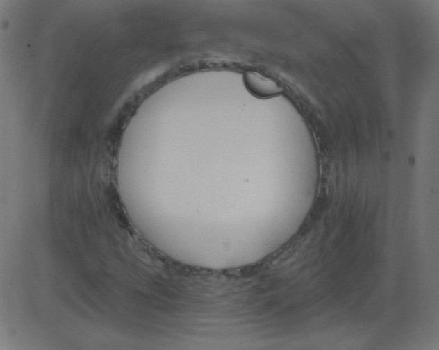 X0000081281207200702012210