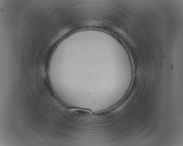 X0000081281209200702012210