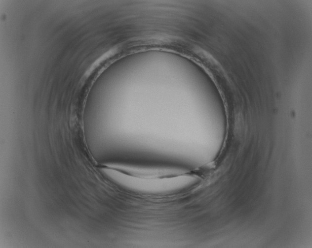 X0000081281210200702012210