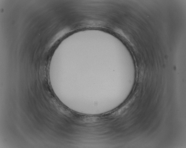 X0000081281211200702012210