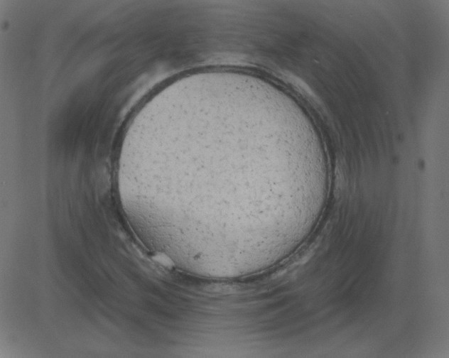 X0000081281212200702012210