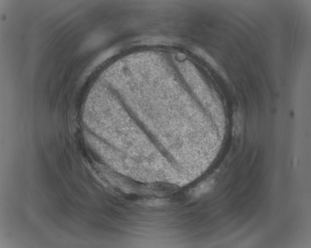 X0000081281213200702012210