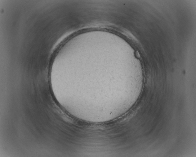 X0000081281216200702012210