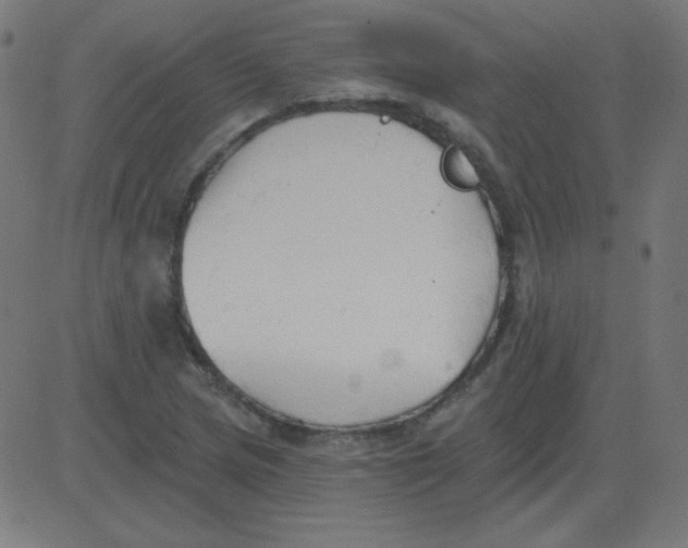 X0000081281217200702012210