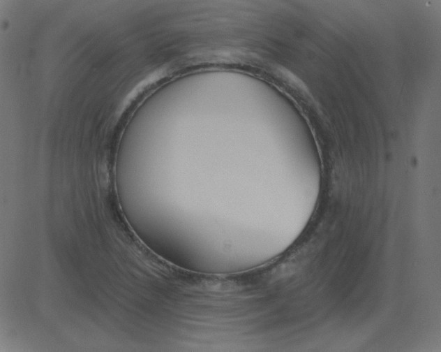 X0000081281218200702012210