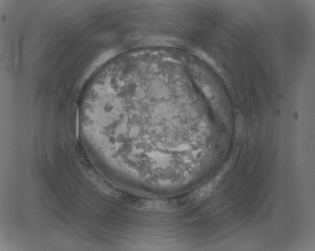 X0000081281219200702012210