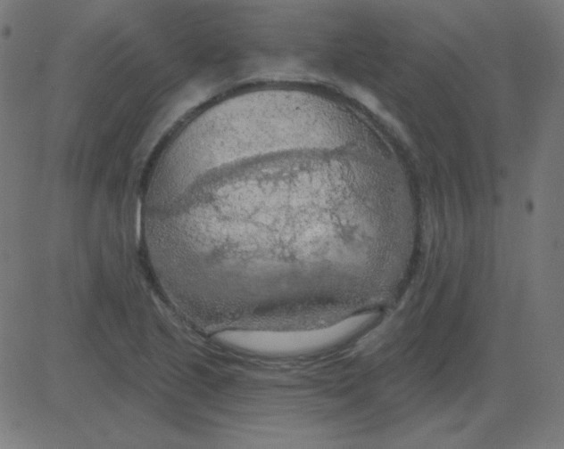 X0000081281221200702012210