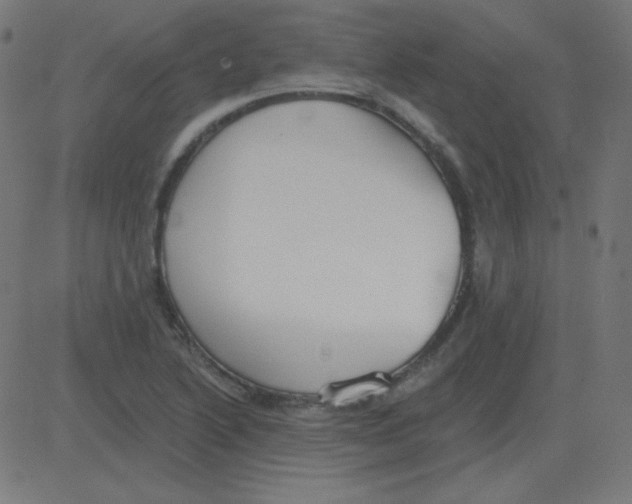 X0000081281222200702012210