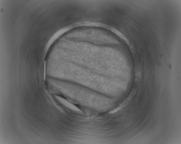 X0000081281223200702012210