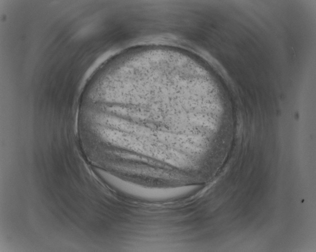 X0000081281224200702012210