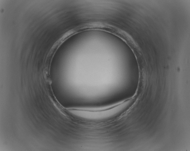 X0000081281225200702012210