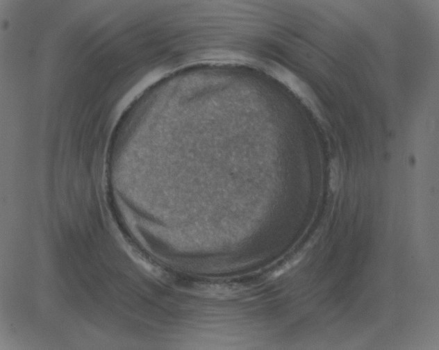 X0000081281229200702012210