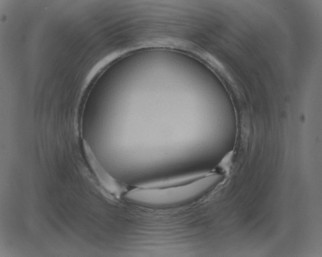 X0000081281230200702012210