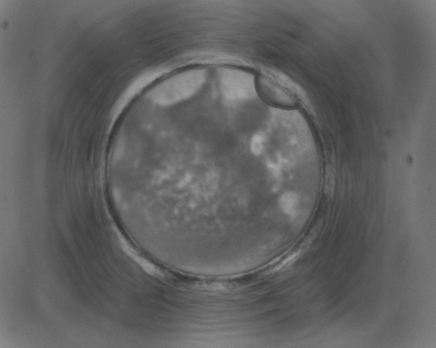 X0000081281231200702012210