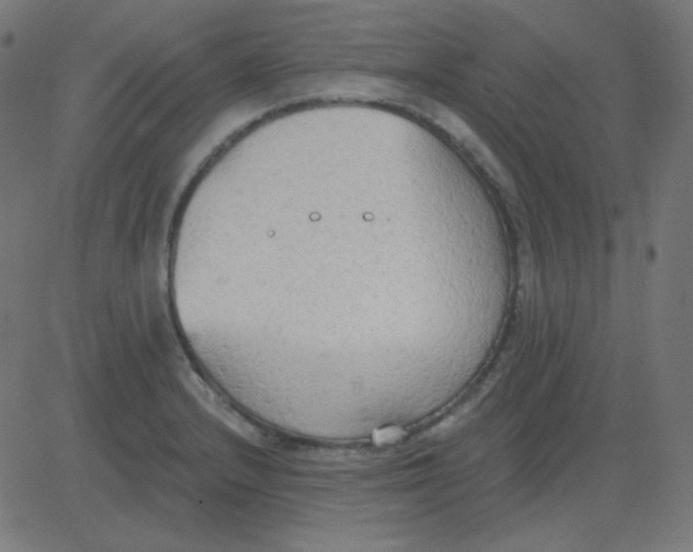 X0000081281232200702012210