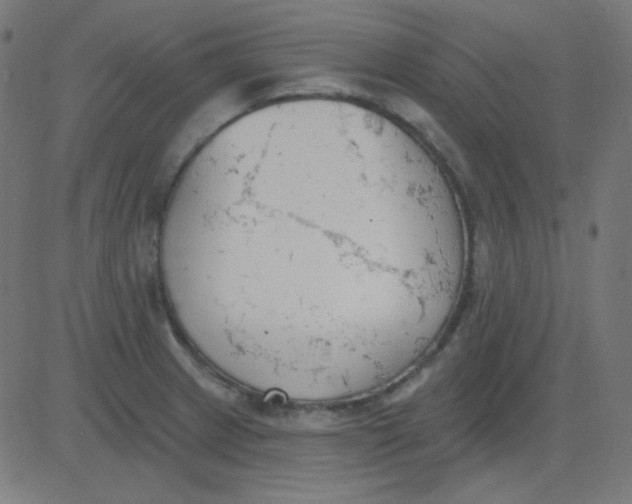 X0000081281233200702012210