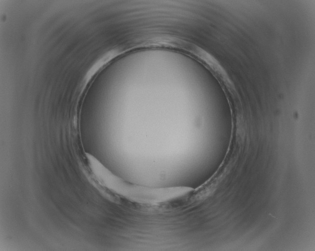 X0000081281234200702012210