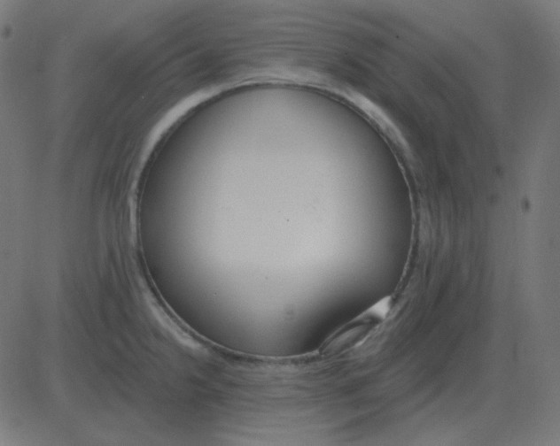 X0000081281238200702012210