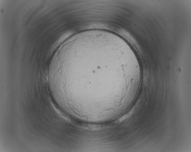 X0000081281241200702012211