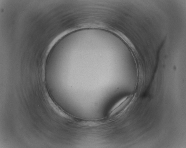 X0000081281246200702012211