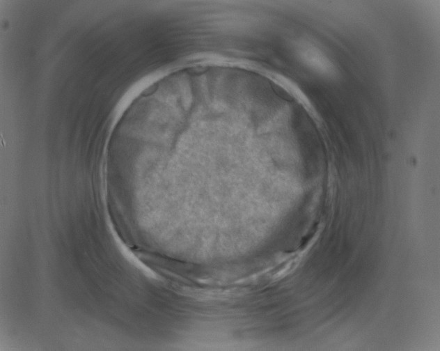 X0000081281247200702012211