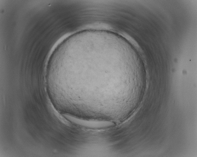 X0000081281248200702012211