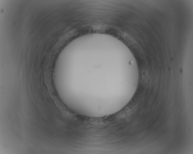 X0000081281249200702012210