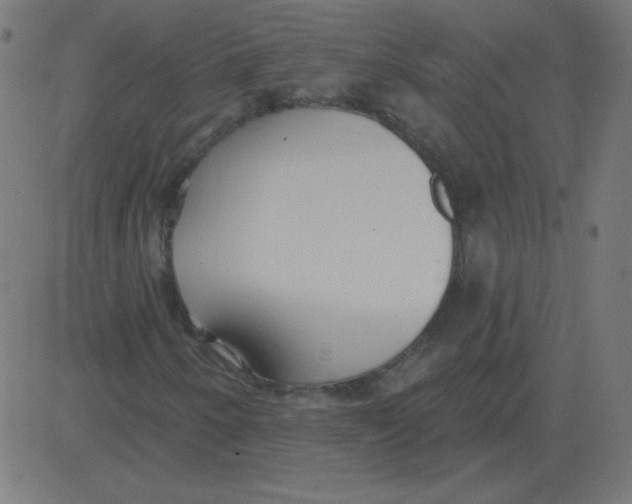 X0000081281250200702012210