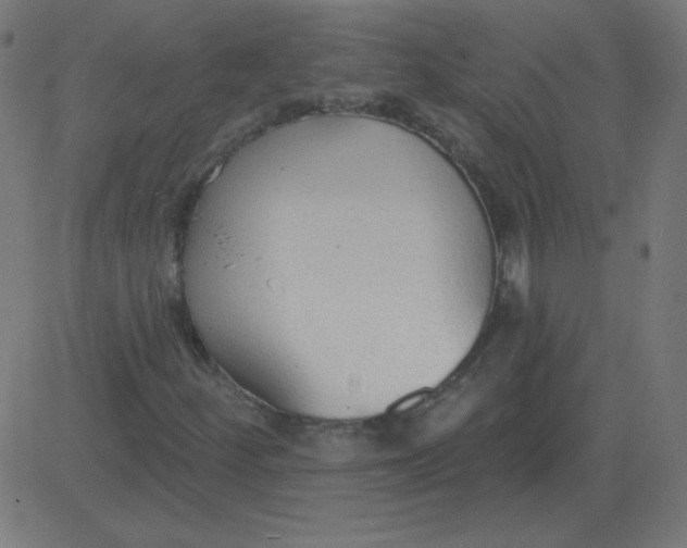 X0000081281252200702012210