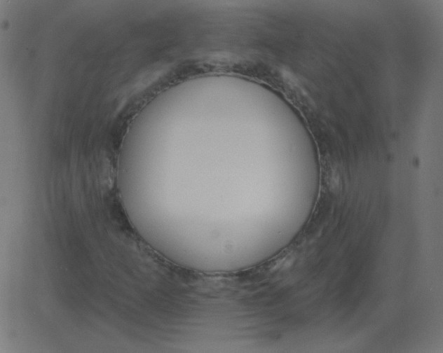 X0000081281253200702012210