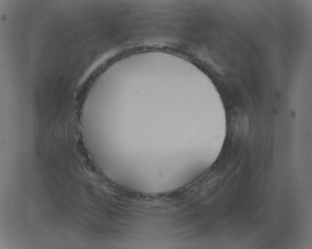 X0000081281256200702012210