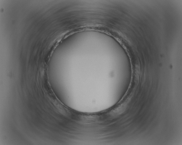 X0000081281257200702012210