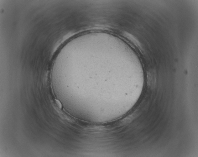 X0000081281260200702012210