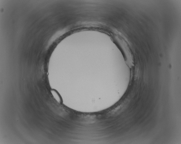 X0000081281261200702012210