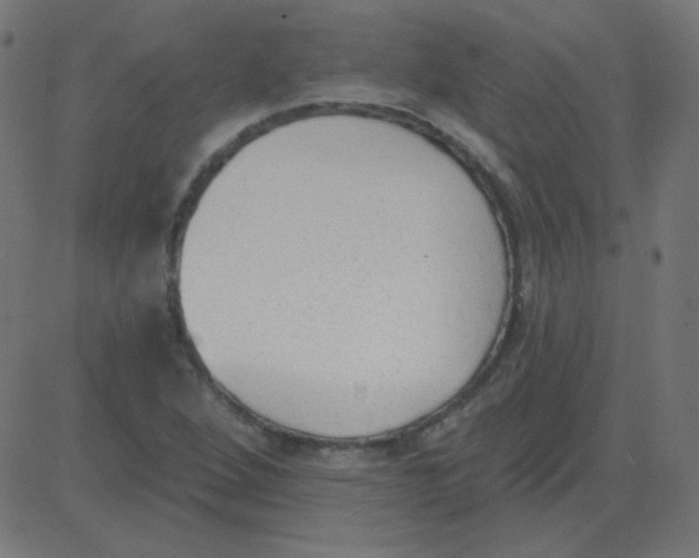 X0000081281264200702012210