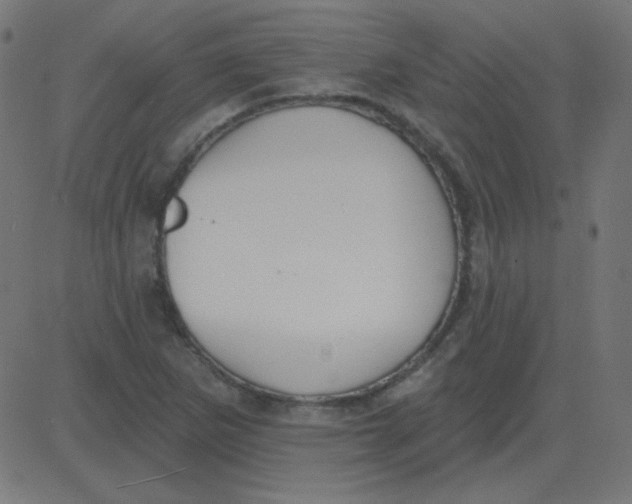 X0000081281265200702012210