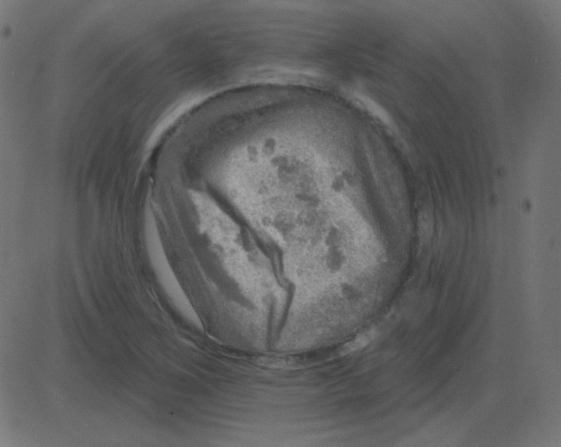 X0000081281267200702012210