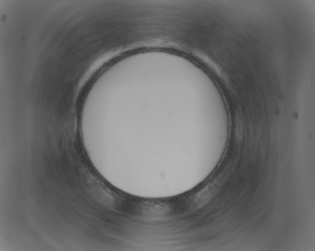 X0000081281270200702012209