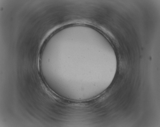 X0000081281272200702012209