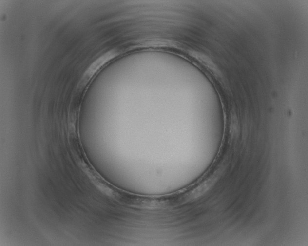 X0000081281273200702012209