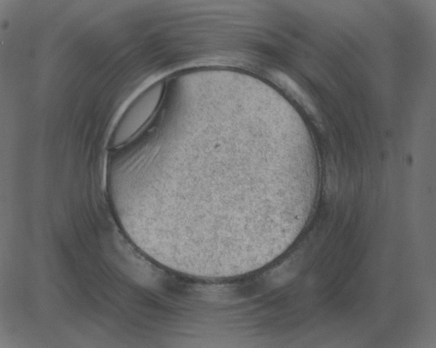 X0000081281276200702012209