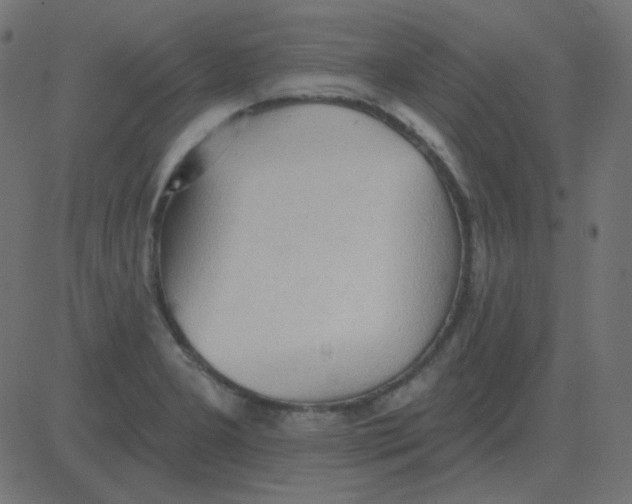 X0000081281277200702012209