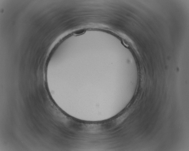 X0000081281280200702012209