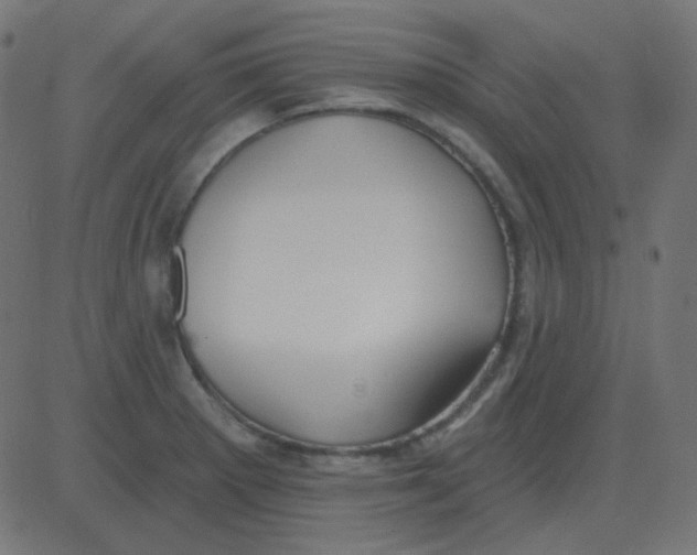 X0000081281281200702012209