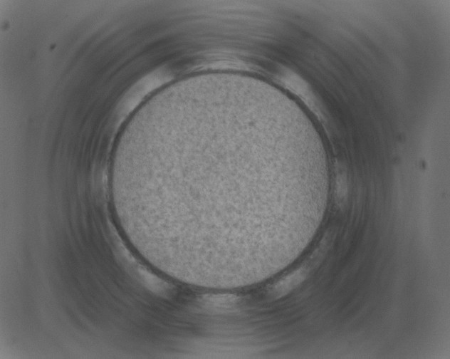 X0000081281282200702012209