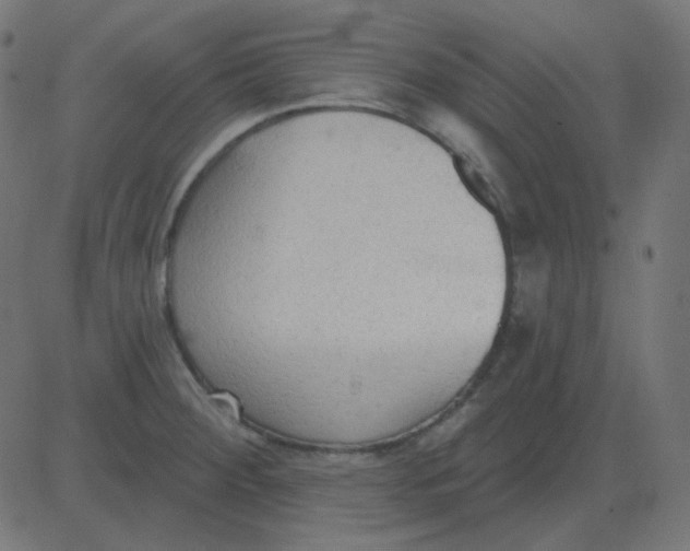 X0000081281284200702012209