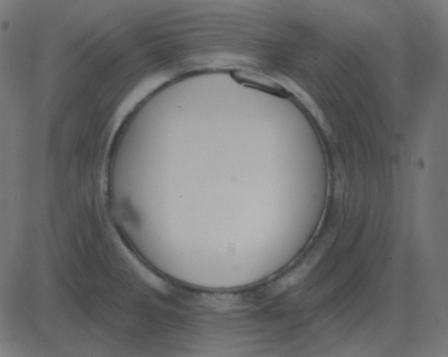 X0000081281285200702012209