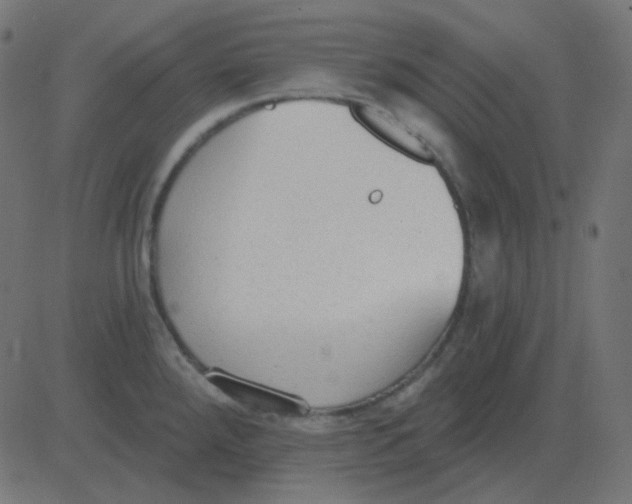 X0000081281288200702012209