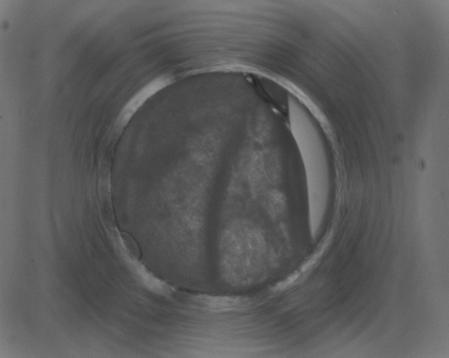 X0000081281289200702012209